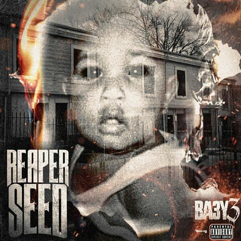 Reaper Seed