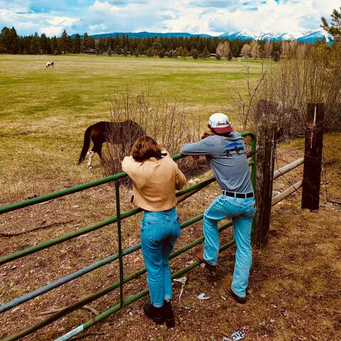 Hills Of Montana