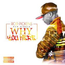 Why You Here