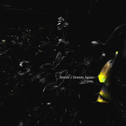 Doves // Dream Again