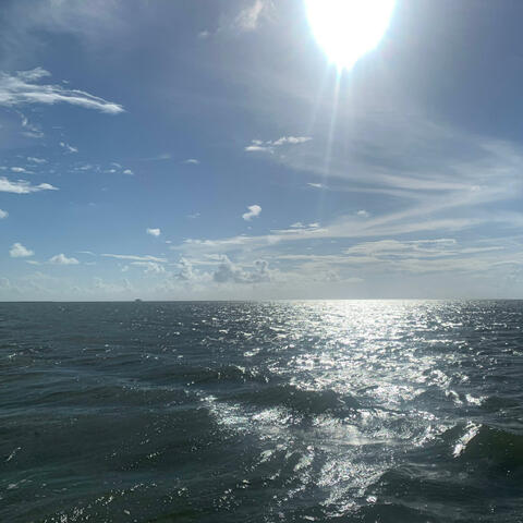 Scum on the Horizon