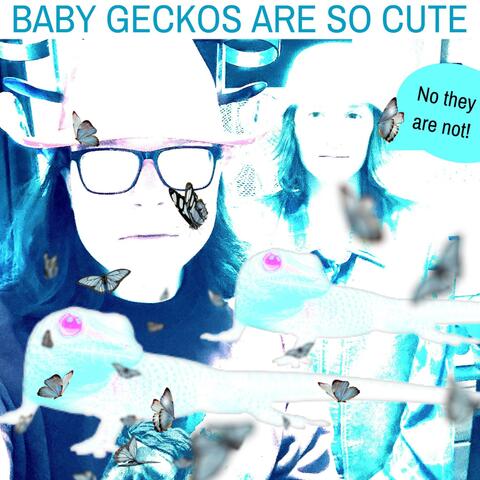 Baby Geckos Are So Cute!