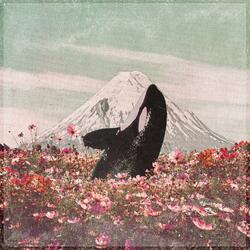 How U Know Peace? (feat. E L U C I D & August Fanon)