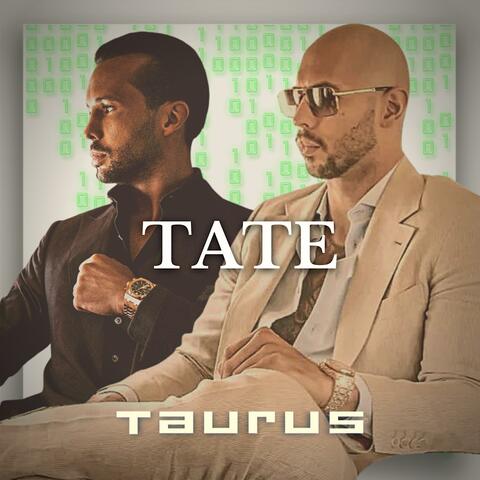 TATE (Extended Mix)