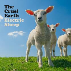 Electric Sheep