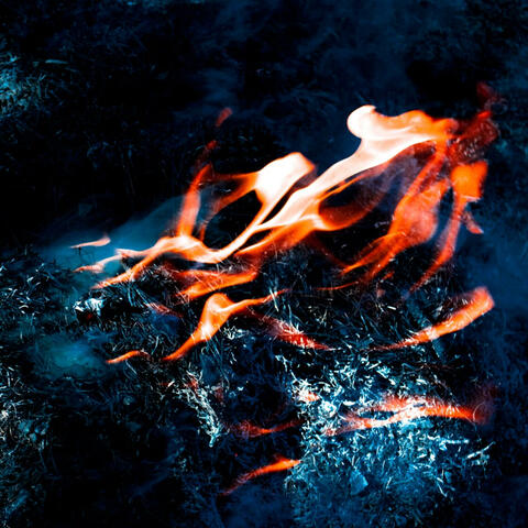 The Last Piece (Of Your Soul)