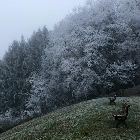 Cold