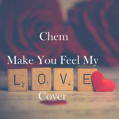 Make You Feel My Love (Cover)