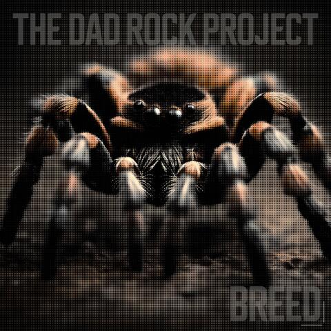 The Dad Rock Project