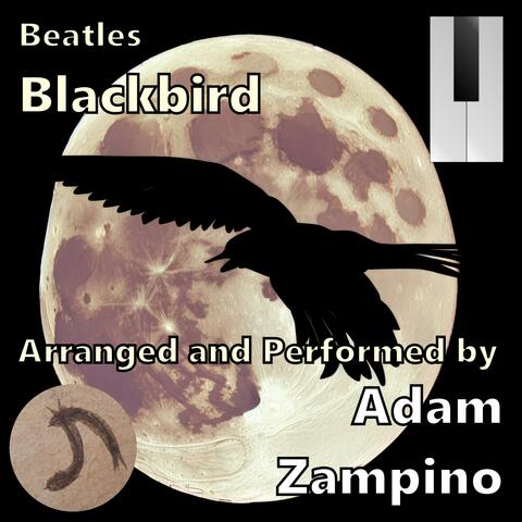 Blackbird