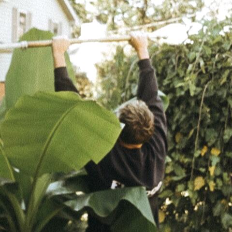hang me out to dry