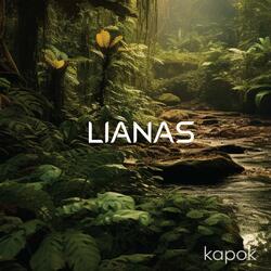 Kapok (Nature)