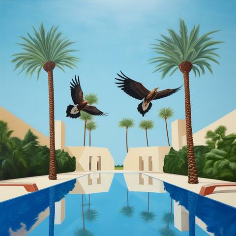 Oasis