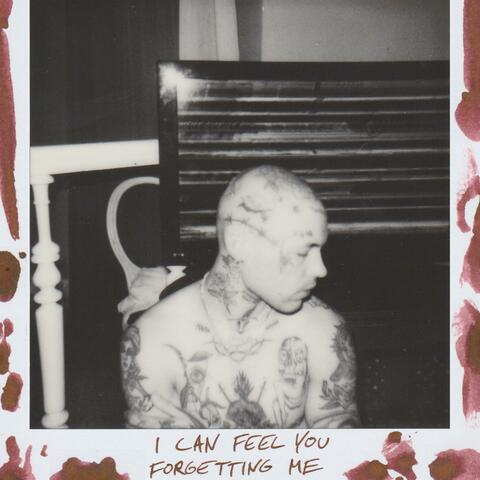 I CAN FEEL YOU FORGETTING ME