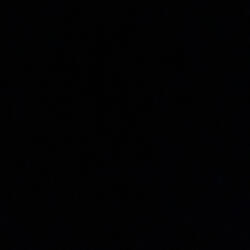 Dumb (feat. CptMani)