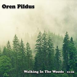 Walking In The Woods