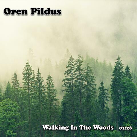 Walking In The Woods