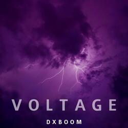 Voltage