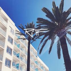 Palms surrounded by blocks