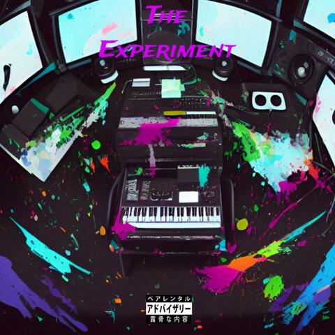 The Experiment