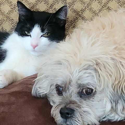 Best Friends Forever!