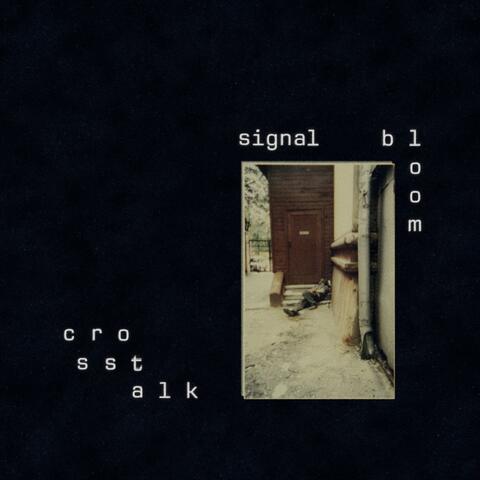 Crosstalk