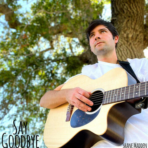 Say Goodbye