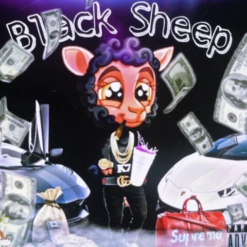 BLACK SHEEP