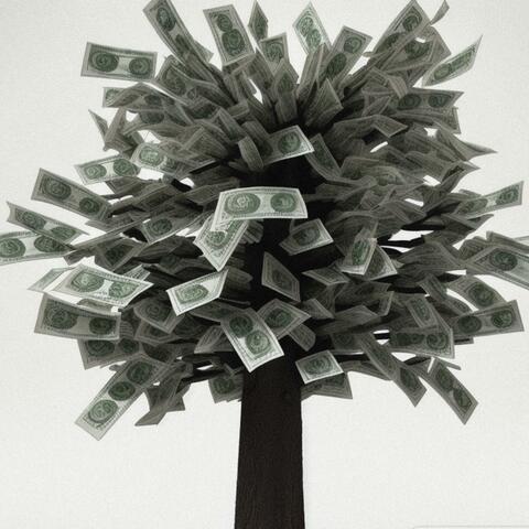 Money Trees