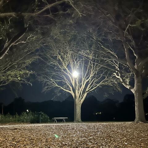distant
