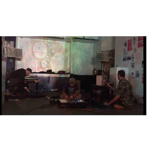 Granular Cats Live in NYC