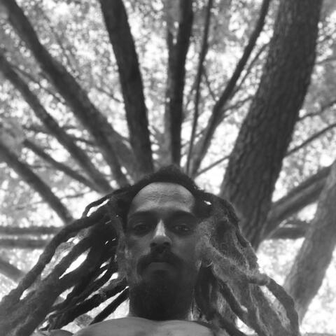 ASHENAFI