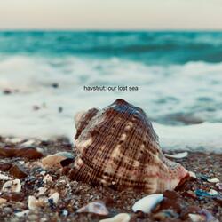our lost sea