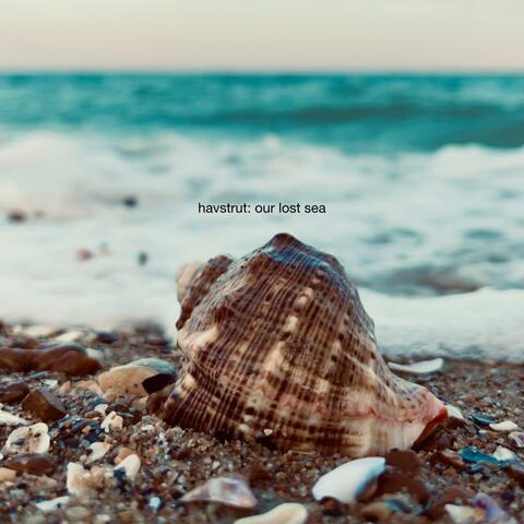 our lost sea