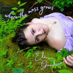 where the moss grows