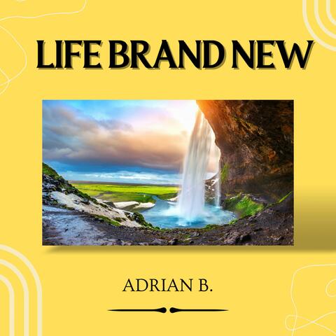 Life Brand New