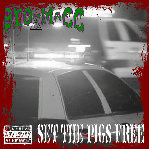 Set the Pigs Free