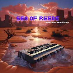 Sea of Reeds (Moses, Pwn that Stone!)
