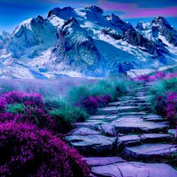 The way