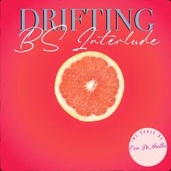 Just Another Bulls*** Interlude