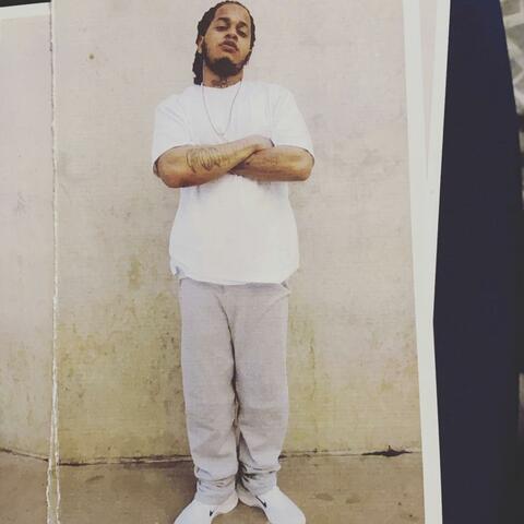 FREE FOOLIE FREESTYLE