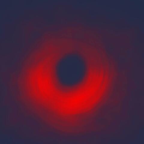 Flock (Singularity)