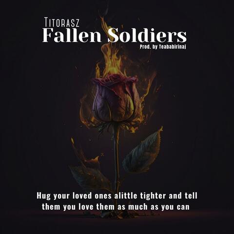 Fallen Soldiers (RIP)