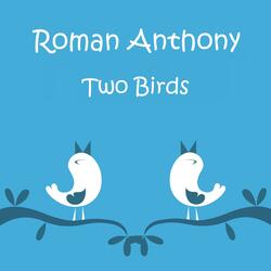 Two Birds