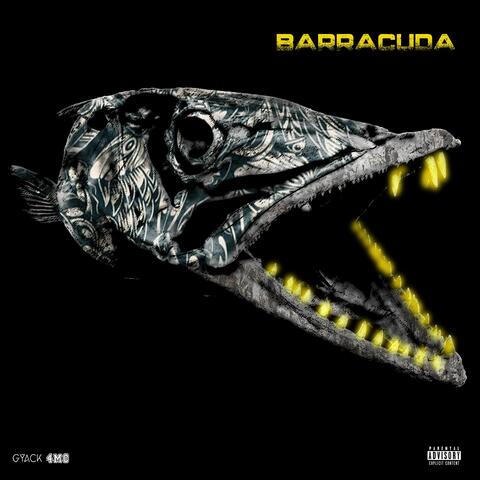 BARRACUDA