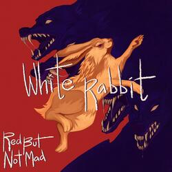 White Rabbit
