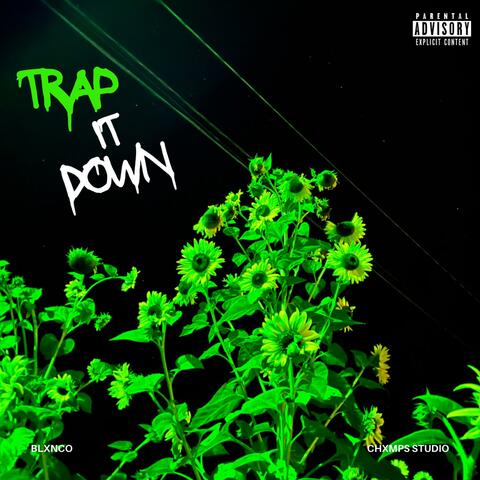 TRAP IT DOWN