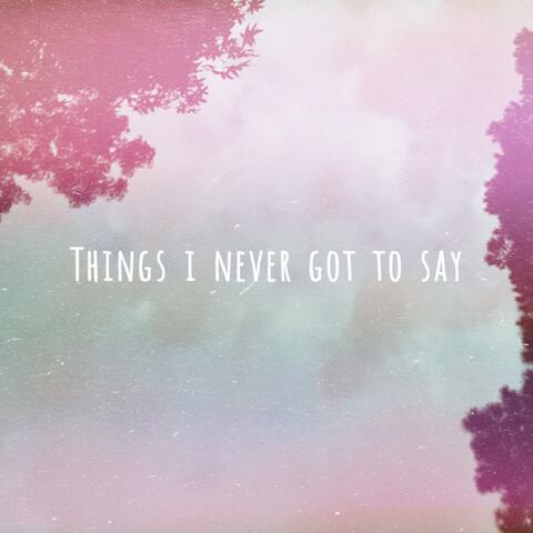 things i never got to say