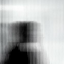 Výzkum společnosti