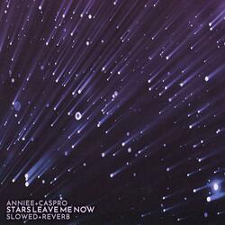Stars Leave Me Now (slowed + reverb)
